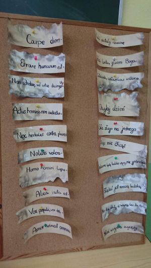 Uczeń przy tablicy prezentuje projekt