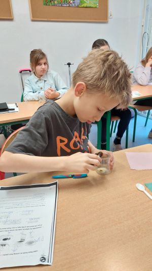 Uczniowie siędzą w ławkach i wykonują eksperymenty