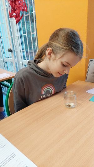 Uczniowie siędzą w ławkach i wykonują eksperymenty