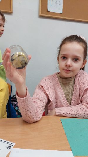 Uczniowie siędzą w ławkach i wykonują eksperymenty