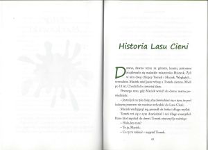 Scan19